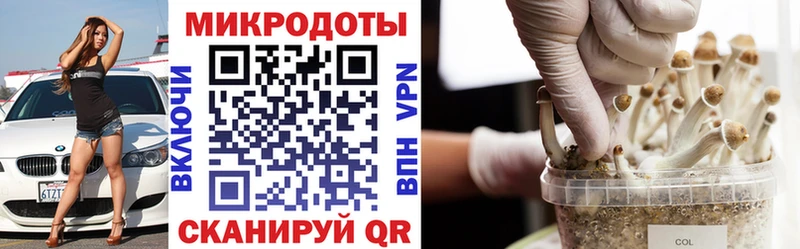 Галлюциногенные грибы ЛСД  цены   ОМГ ОМГ ссылки  Лагань 